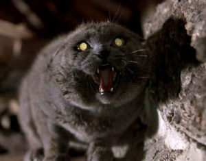 Pet-Sematary-church-cat