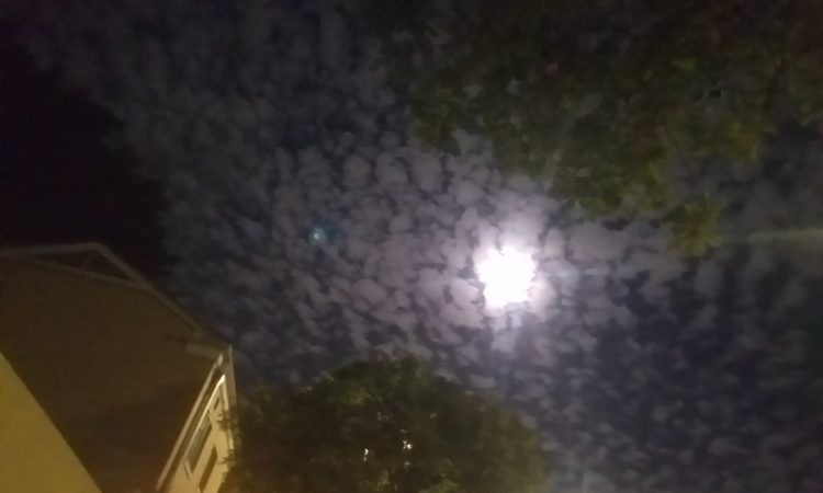 The Beautiful Chemtrails In The Nighttime Sky